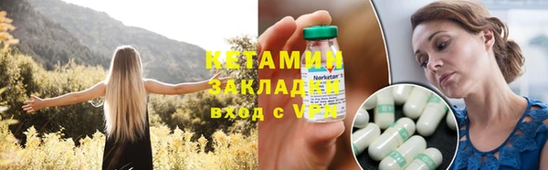 шишки Сосновый Бор