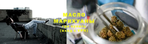 шишки Сосновый Бор