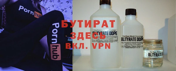 шишки Сосновый Бор