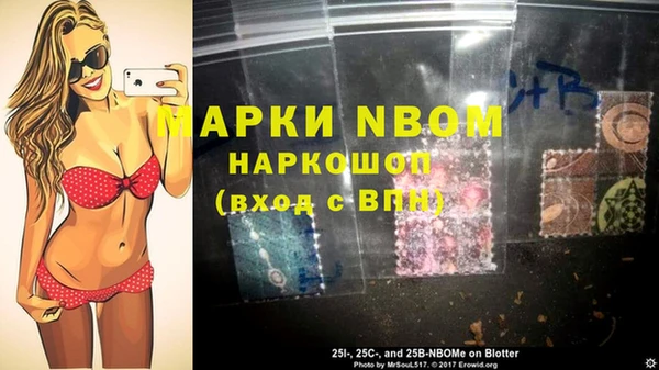 шишки Сосновый Бор