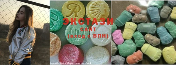 шишки Сосновый Бор
