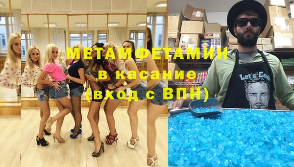 шишки Сосновый Бор