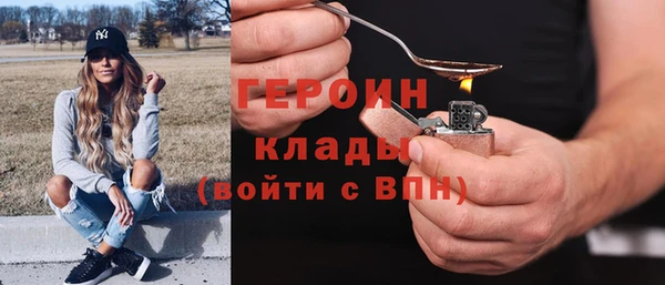 шишки Сосновый Бор