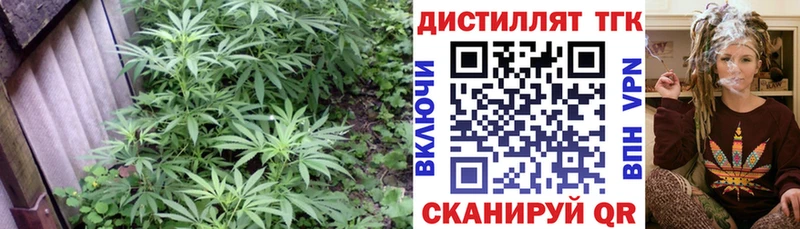 Купить где  Шарыпово  Дистиллят ТГК THC oil 