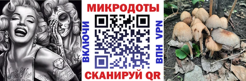 Купить  Шарыпово  Галлюциногенные грибы мицелий 